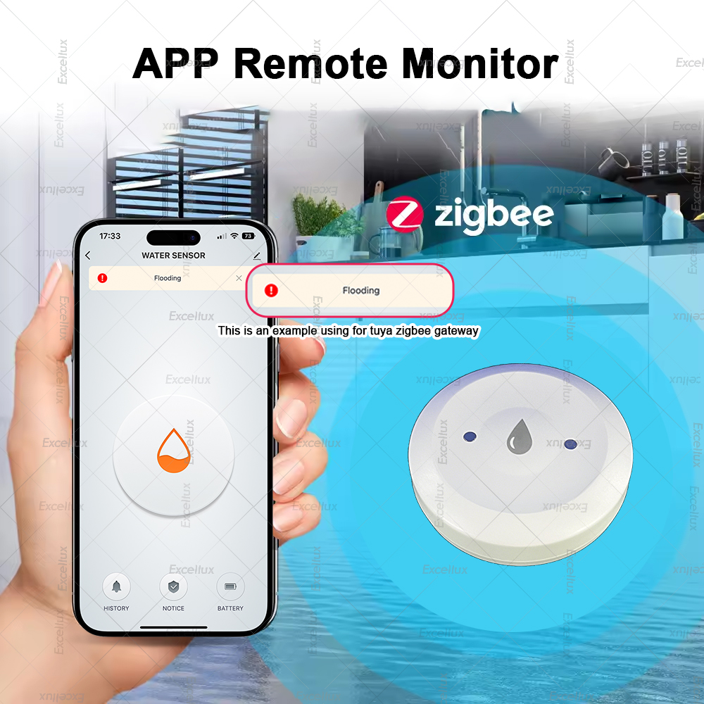 Zigbee Water Detector Leakage  - Home Security Home Assistant 评论和价格
