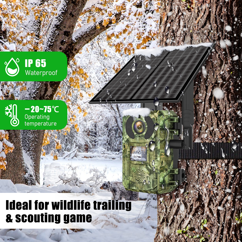 EU Band 4G Cellular LTE Live V - Home Security Home Assistant 评论和价格