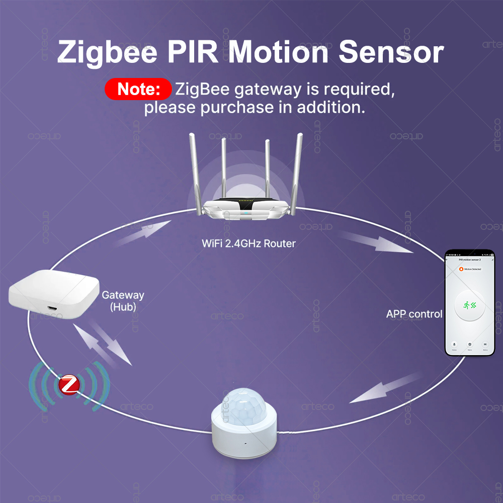 Zigbee 3.0 Mini PIR Motion Sen - Home Security Home Assistant 评论和价格