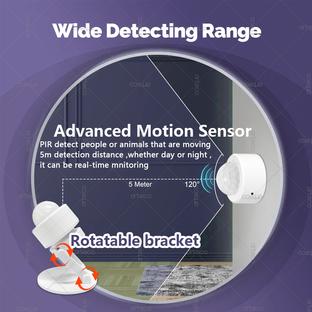 Zigbee 3.0 Mini PIR Motion Sen - Home Security Home Assistant 评论和价格