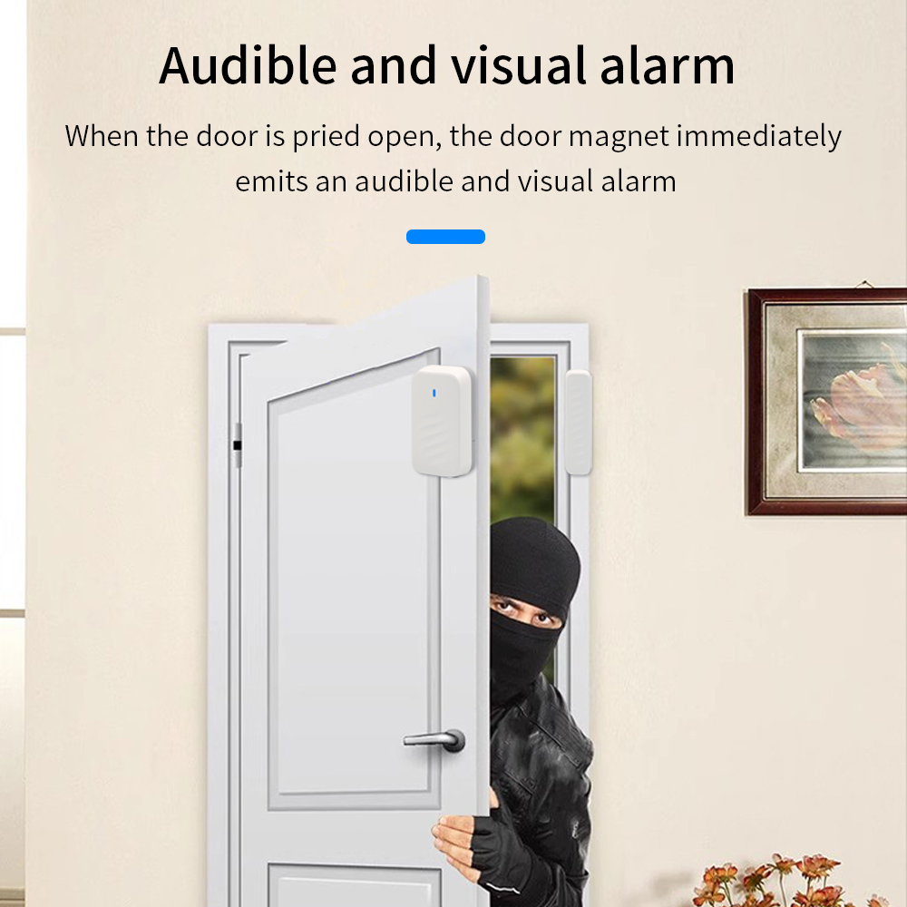DS3 TTLOCK Wireless Remote Con - Home Security For Windows 评论和价格