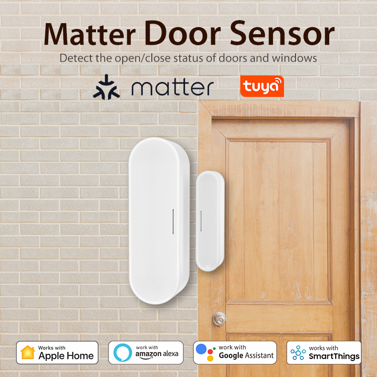 Tuya Smart Door Window Sensor  - Home Security Technology 评论和价格